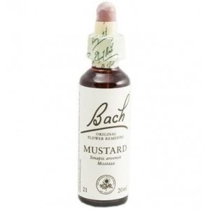 Flores Bach Musterd Mostaza 20Ml