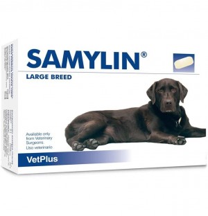 Samylin  R.Grandes 30 Cds