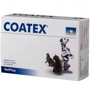 Coatex Blister 60*4 (240 Caps.)