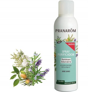 Spray Purif Ravintsara Bio 150
