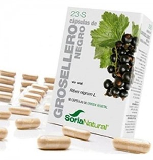 "Grosellero Negro Caps Lib. Prolong. ""Soria Natural"""