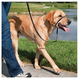 Easy Walk Collar De Manejo Para Perros Negro Mediano