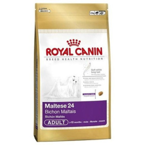 Bhn Maltese Ad 500Gr