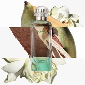 Hermes Paris Un Jardin Sur Le Nil Eau De Toilette 30Ml Vaporizad