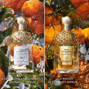 Aqua Allegoria Mandarine Basilic Forte Edp Vapo 75 Ml