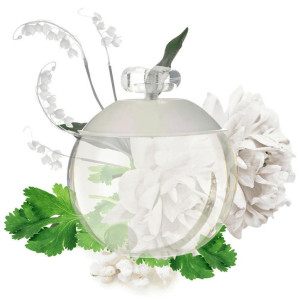 Noa Eau De Toilette Vaporizador 100 Ml