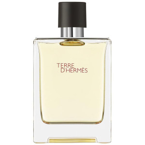 Hermes Paris Terre D'Hermes Eau De Toilette 100Ml