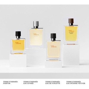 Terre D'Hermès Eau De Toilette Vaporizador 200 Ml