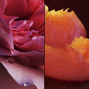 Nahema Eau De Parfum Vaporizador 75 Ml