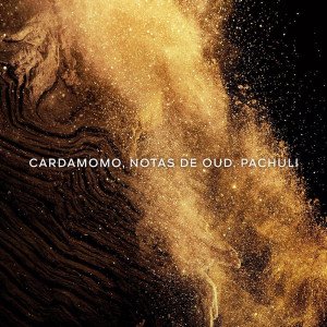 Absolus Allegoria Épices Exquises Edp Vapo 125 Ml