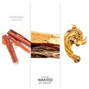 Wanted By Night Eau De Parfum Vaporizador 100 Ml