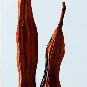 Shu Uemura Urban Moisture Hydro-Nourishing Conditioner Dry Hair 250Ml