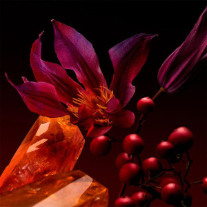 The Scent For Her Elixir Edp Vapo 50 Ml 2