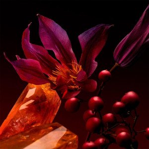 The Scent For Her Elixir Edp Vapo 50 Ml 2