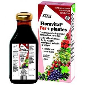 Floradix Floravital (1 Frasco 250 Ml)