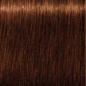 Schwarzkopf Igora Royal Absolutes Tinte Cabello Nro 8-60 60Ml