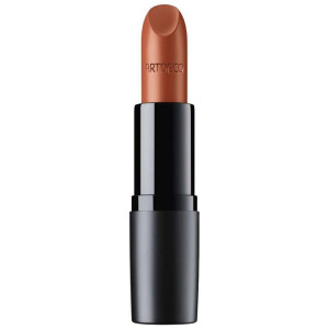 Perfect Mat Lipstick 217-Terracotta 4 Gr