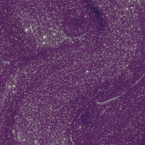 Infinite Shine - Colección Wicked - Esmalte De Uñas De Larga Duración Head Shizstress 15 Ml