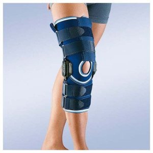 Pilze Wolhrab Shiitake Bio 60Caps