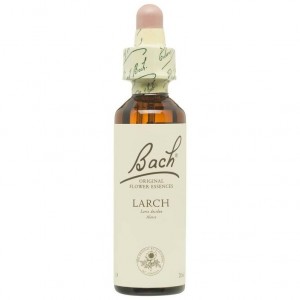 Flores De Bach (19) Larch 20 Ml