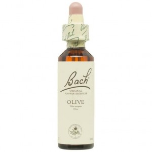 Flores De Bach (23) Olive 20 Ml