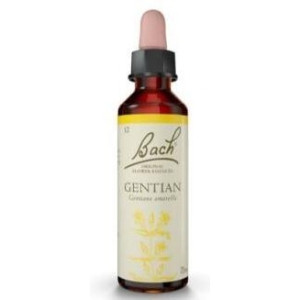 Flores Bach Gentian Genciana 20Ml.