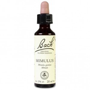 Flores De Bach (20) Mimulus 20 Ml