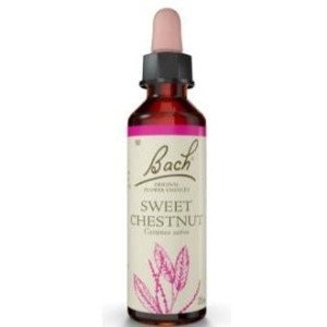 Flores Bach Sweet Chestnut Castaño Dulce 20Ml.