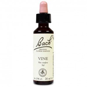 Flores De Bach (32) Vine 20 Ml