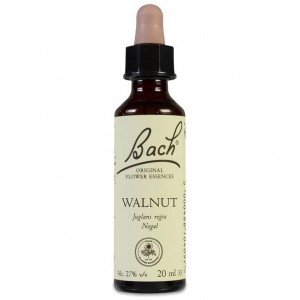 Flores De Bach (33) Walnut-Nogal 20 Ml