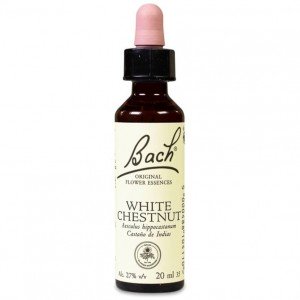 Flores Bach White Chestnut Castaño Indias 20Ml.