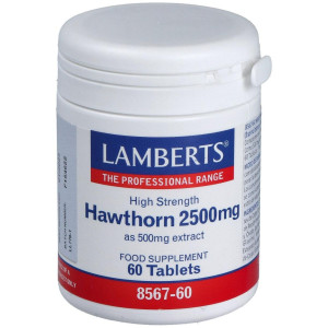 Lamberts Espino Blanco 2500Mg 60 Comprimidos