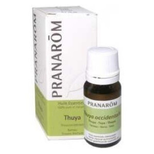 Thuya Occidentalis Aceite Esencial 10Ml.