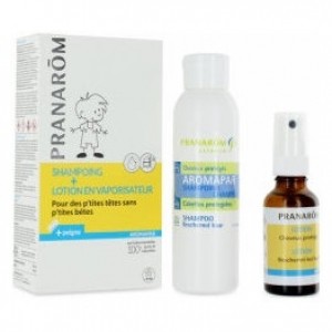 Aromapar Duo Spray Antipiojos Bio +Champu+Lendrera