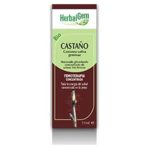 Castaño Macerado Glicerinado 50Ml.