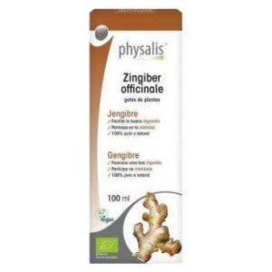 Physalis Zingiber Officinale Jengibre 100Ml