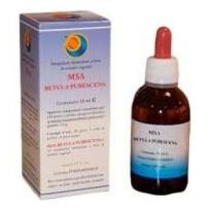 Herboplanet Msa Betula Pubencens 50Ml