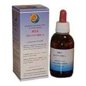 Herboplanet Msa Ficus Carica Gemas 50Ml