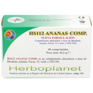 Hs 112 Ananas Comp. 48Comp.