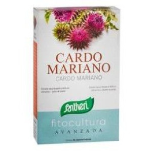 Cardo Mariano 40Cap.