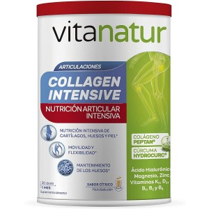 Vitanatur Collagen Intensive (1 Envase 360 G)
