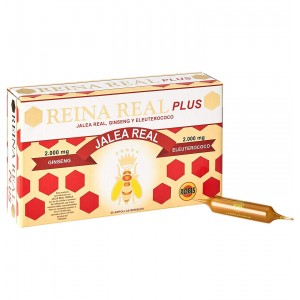 Reina Real Plus 20 Amp