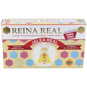 Reina Real Junior 20Amp.