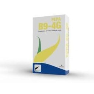 Fepa-Vitamina B9 40Cap.