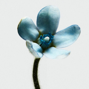 Loewe 001 Woman Eau De Toilette Vaporizador 50 Ml