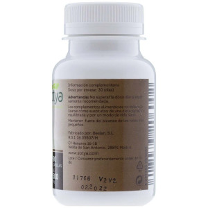 Sotya Reishi 500Mg 90Cáps