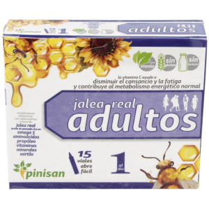 Pinisan Jalea Real Adultos 15Uds