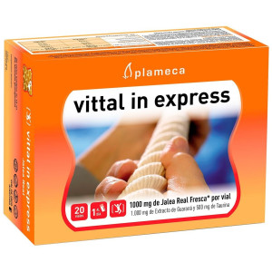 Plameca Vittal In Express 20 Viales