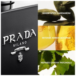 L'Homme Prada Intense Edp Vaporizador 100 Ml