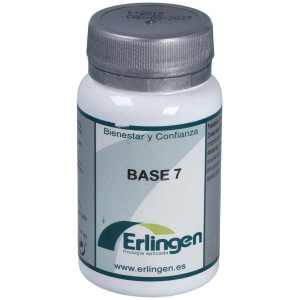 Erlingen Base 07 60Comp